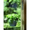 Corsica Hanging Basket - D30 cm - Blanco - Elho