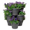 Corsica Vertical Garden - Antracita - Elho