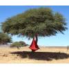 Hamaca Colgante - Cacoon Simple - Rojo