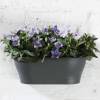 Corsica Wall Basket - 39x17cm - Lima - Elho