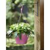 Corsica Hanging Basket - D30 cm - Cereza - Elho