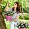 Corsica Hanging Basket - D30 cm - Cereza - Elho