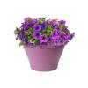 Corsica Wall Basket - D.25 cm - Violeta Vivo- Elho