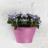 Corsica Wall Basket - D.25 cm - Violeta Vivo- Elho