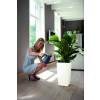 Milano All-in-One - A55cm - Antracita Mate - Elho