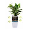 Milano All-in-One - A55cm - Antracita Mate - Elho