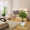 Soporte con Ruedas Extensible - D.30 a 42 cm