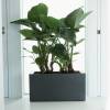 Pure Square Long  39x79 A40  Blanco  Elho