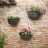 Maceta Pared Vibia Campana -35 cm - Antracita-Elho