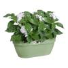 Maceta Pared Vibia Campana -35 cm - Verde P. -Elho