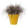 Loft Urban Round  D.30 A.26  Ocre  Elho