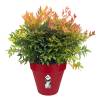 Loft Urban Round  D.40 A.35  Rojo ArndanosElho