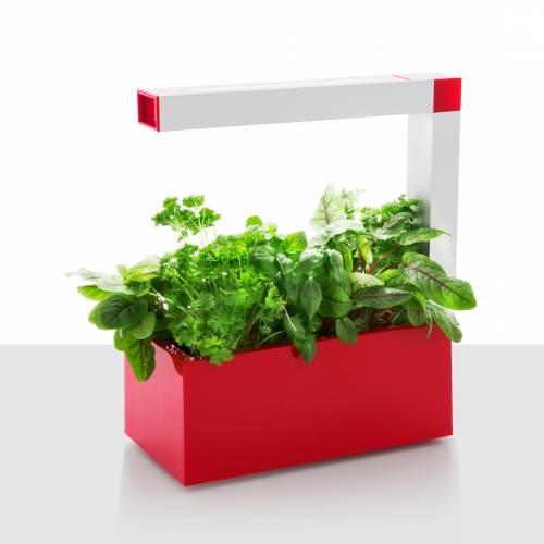Jardinera Hidropónica - Herbie Rojo - Tregren : venta Jardinera