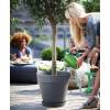 Loft Urban Round  D.40 A.35  Menta  Elho