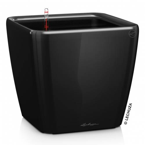 Quadro LS 43 - Negro - LECHUZA