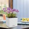 CUBE Color 14 cm - Blanco - LECHUZA