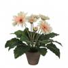 Planta Artificial - Gerbera Crema - MICA