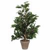 Planta Artificial - Ficus extica - MICA