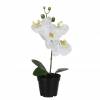 Planta Artificial - Phalaenopsis Blanca - MICA