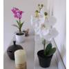 Planta Artificial - Phalaenopsis Blanca - MICA