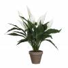 Planta Artificial - Spathiphyllum Blanco - MICA