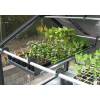Growcamp - Bandeja de plantacin