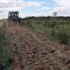 Aplicacin fertilizantes plantaciones forestales