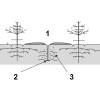 Aplicacin fertilizantes plantaciones forestales