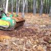 Trituracin forestal