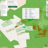 Cartografía forestal