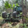 Desbroce forestal
