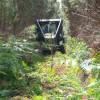 Desbroce forestal