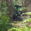 Desbroce forestal