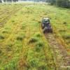 Desbroce forestal