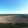 Estimacin de propiedad forestal