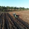 Labranza forestal