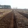 Labranza forestal