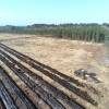 Labranza forestal