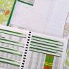 Plan de gestin simple (PGS)