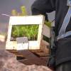 Plantacin forestal