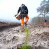 Plantacin forestal