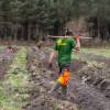 Plantacin forestal
