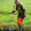 Plantacin forestal