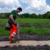 Plantacin forestal
