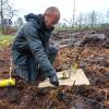 Plantacin forestal