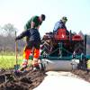 Plantacin forestal