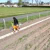 Plantacin forestal