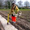 Plantacin forestal