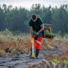 Plantacin forestal
