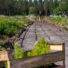 Plantacin forestal
